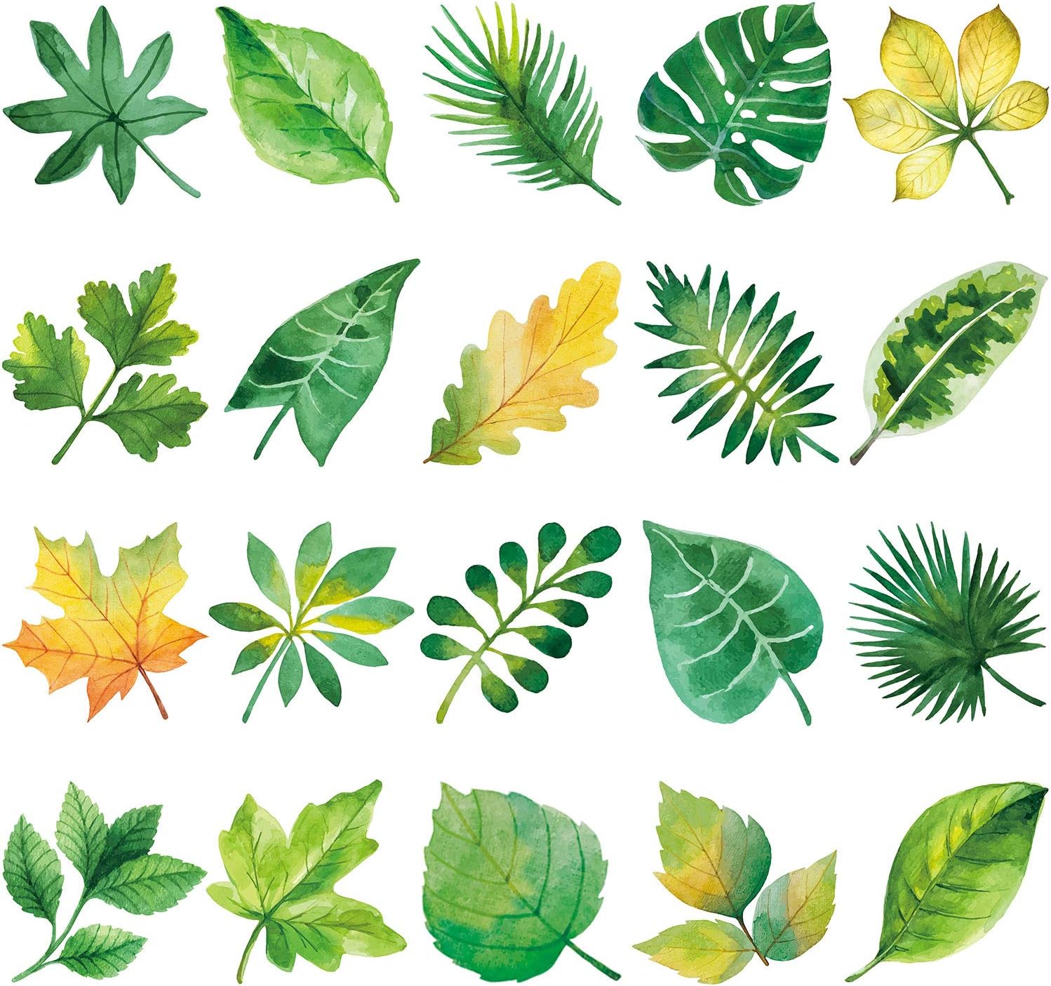 Outus 20 Pieces Alert Birds Window Clings Leaf Anti-Collision Window Decals Prevent People and Bird Strikes on Window Glass Cling Decor for Sliding Glass Doors Non Adhesive Vinyl