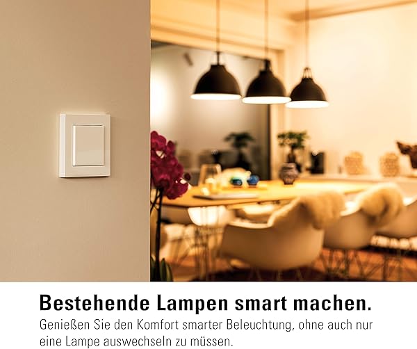 Eve Light Switch Smarter Lichtschalter Apple HomeKit Einfach  Wechsel  Kreuzschaltung kompatibel mit Mehrfachschaltern Zeitplne anpassbares Design keine Bridge ntig BluetoothThread