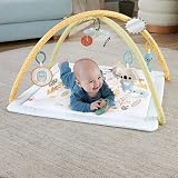 Fisher-Price Simply Senses Newborn Gym Playmat with Mobile Toy Arch view 4