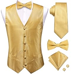 Hi-Tie Mens Suit Vest Bowtie Set Ties for Men V