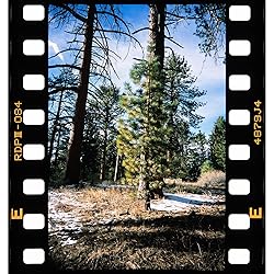 Negative Supply Full-Border Scanning Cassette for