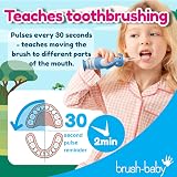 Brush-Baby WildOnes Kids Electric Toothbrush Elephant, 1 Handle, 3 Heads view 8