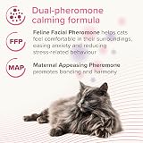Beaphar CatComfort Excellence 30 Day Refill Pheromone Calming 48ml view 5