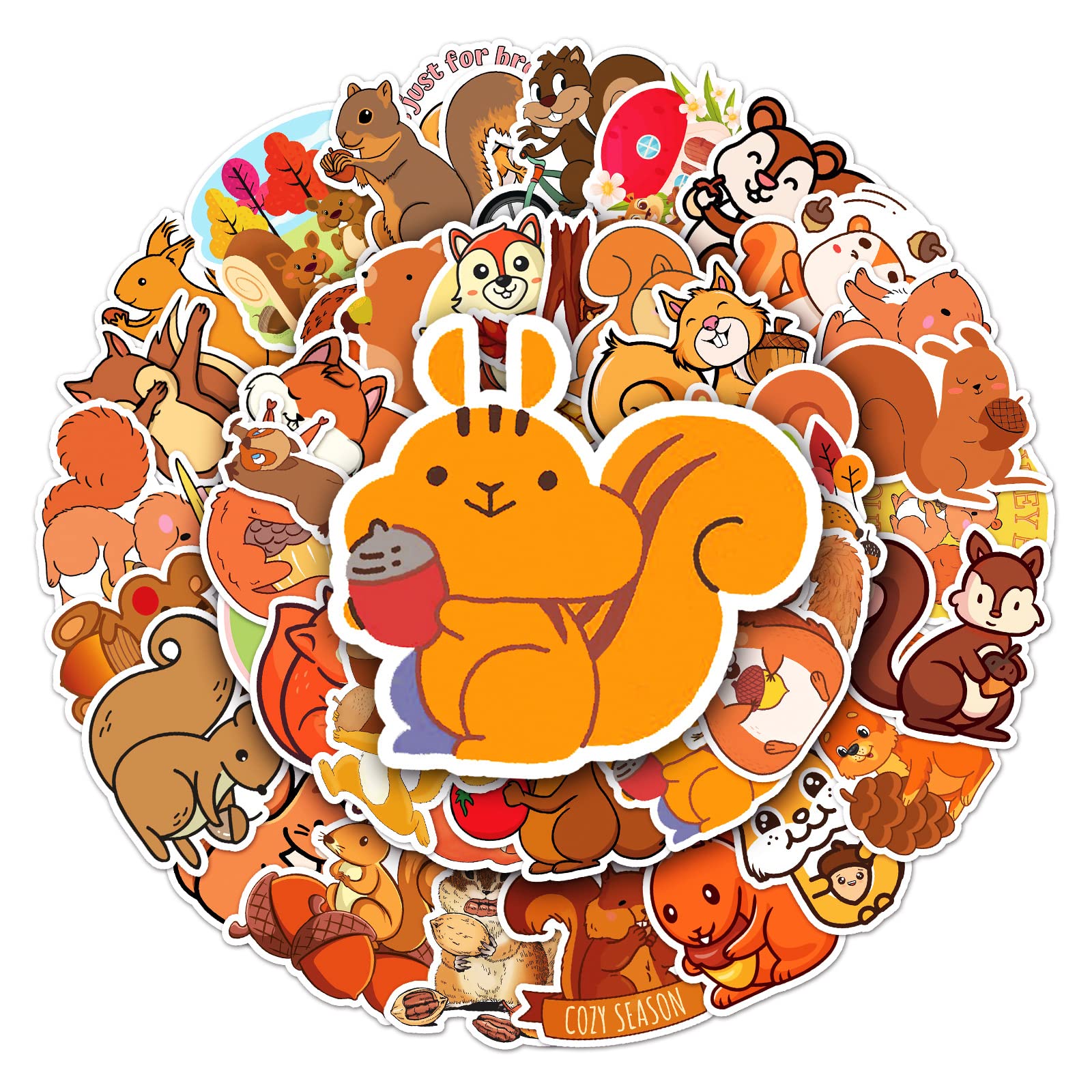 50Pcs Squirrel Stickers Laptop Car Scrapbook Phone Skateboard Suitcase Luggage Bike Animal Stickers Vinyl Waterproof Aesthetic Personalised Stickers for Teens Boys Girls Adults Kids Children
