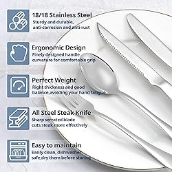 Eisinly 20-Piece Silverware Set Service for 4, Food