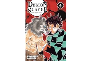 DEMON SLAYER T04: DEMON SLAYER T04