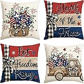 AVOIN colorlife Let Freedom Free Eucalyptus Stars Fireworks Car Throw Pillow Covers, 18 x 18 Inch 4th of July Patriotic Indep