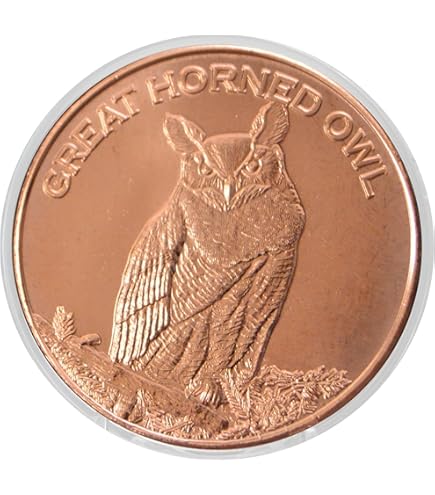 Space Force Trump  1オンス　銀貨　500枚発行！ Space Force Trump 1オンス 銀貨 500枚発行！ Amazon.com