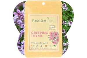 FLAWN SEED KITS Flawn Seed Creeping Thyme Seed, Pollinator Friendly, Low Maintenance, Lawn Alternative, Ground Cover, Compostable Pouch, Covers Up to 250 SqFt