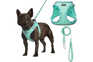 AMTOR Small Dog Harness with Leash Set, No Escape Easy Walk Puppy Harnesses for Training Walking, Step-in Reflective Soft Dogs Vest for XS S Medium Extra-Small Large Sized Dog(Green,S)