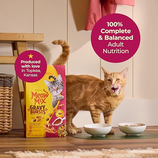 MEOW MIX GRAVY BURSTS, SAVORY CHICKEN FLAVOR MIX, GRAVY FILLED DRY CAT FOOD, 3 LB. BAG