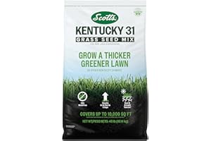 Scotts Kentucky 31 Grass Seed Mix for New Lawns or Overseeding, Grows Thicker and Greener vs. Other Kentucky 31 Mixes, Covers up to 10,000 sq. ft.