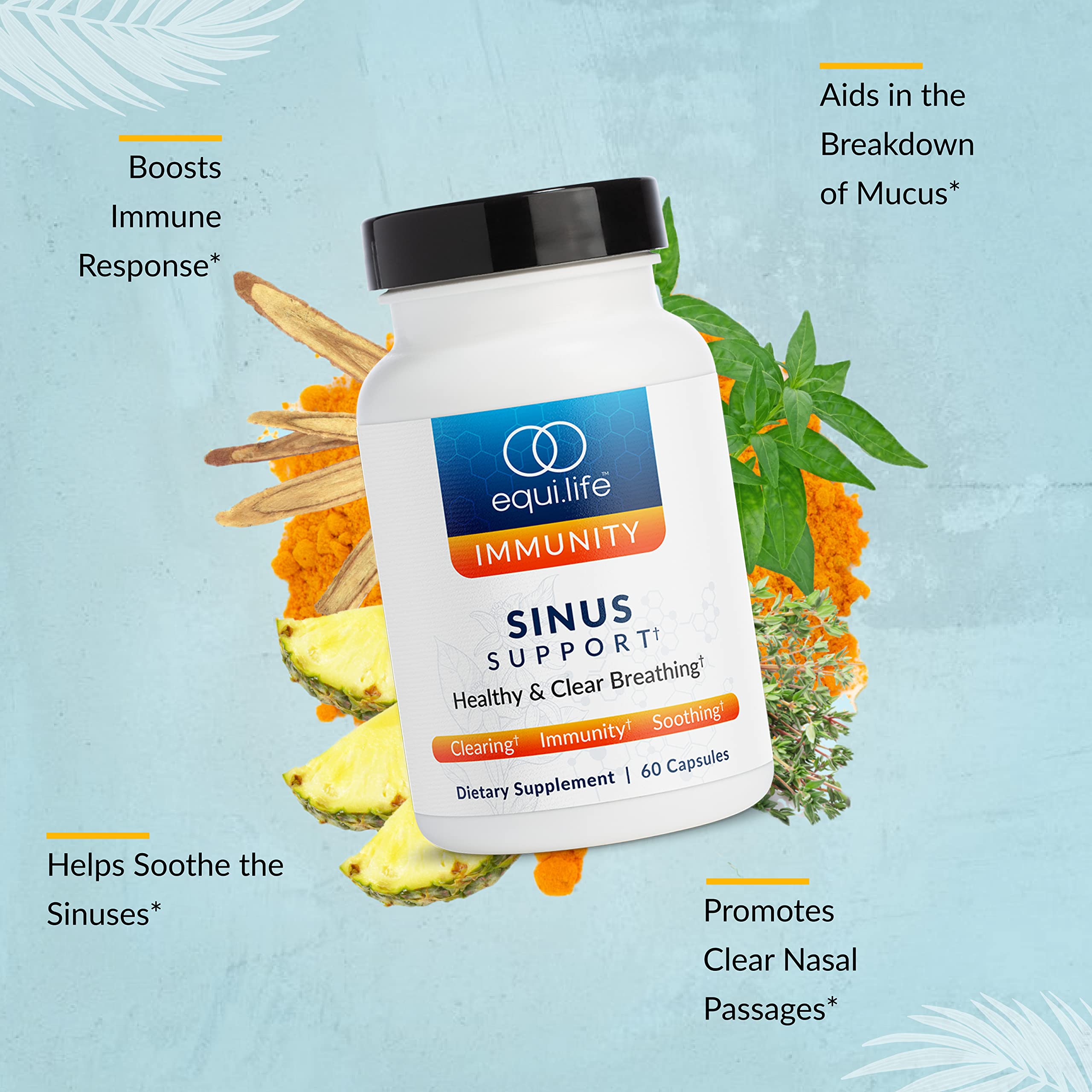 Equilife - Sinus Support, with Berberin & Licorice Root to Help Promote Nasal Congestion, Mucus Relief, and Sinus Relief, Rich with Antioxidants and Amino Acids, Gluten-Free (20 Servings)