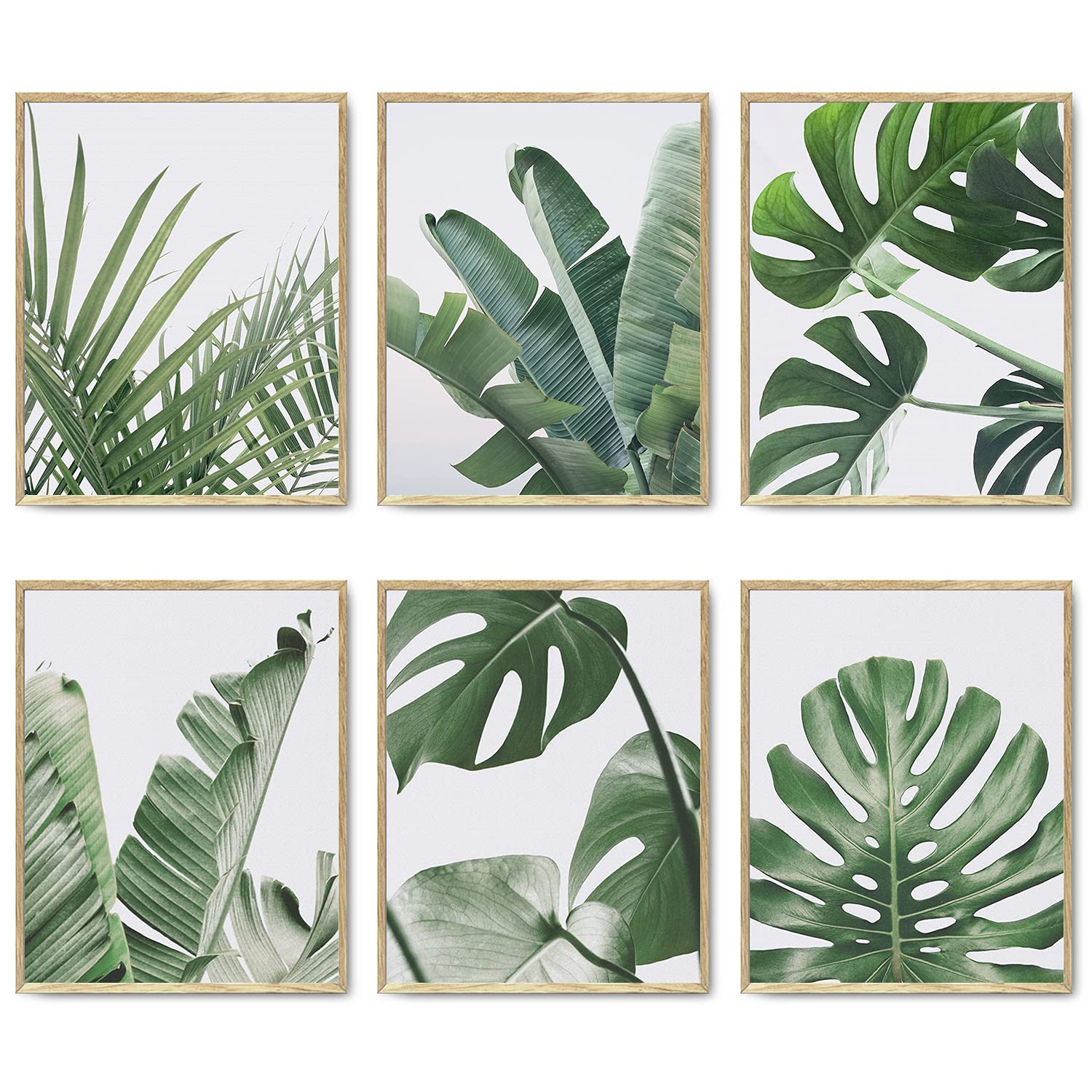 Photo 1 of Botanical Wall Art Prints Set of 6 Tropical Leaves Decor Plant Leaf Wall Art Canvas Prints for Wall Decor Green Wall Art Posters Set for Living Room Decor (8"x10" UNFRAMED)