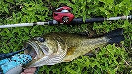 Review Image by David C. Crenshaw