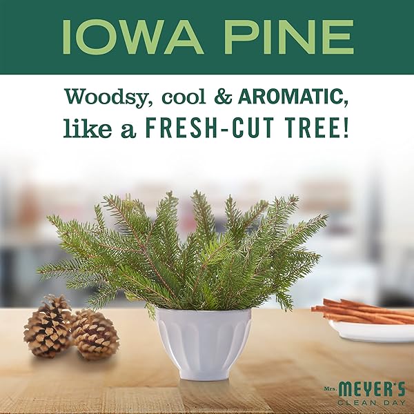 MRS. MEYER’S CLEAN DAY LIQUID DISH SOAP, BIODEGRADABLE FORMULA, LIMITED EDITION IOWA PINE, 16 FL. OZ