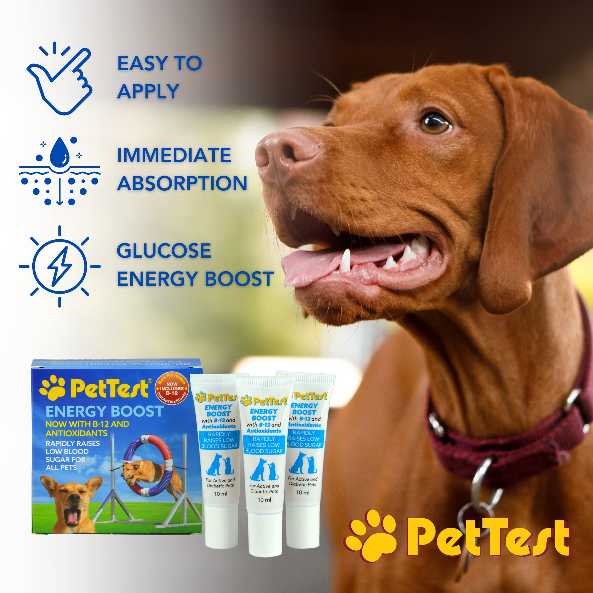 PetTest Energy Boost Glucose SOS 3x10ml Tubes for Pets, Instantly Increases Low Blood Sugar with B12 and Antioxidants, Fast Acting, Meat Flavoured, Rapid Recovery for Active or Diabetic Dogs & Cats