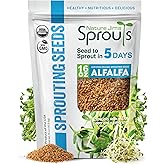 Nature Jims Sprouts Alfalfa Seeds – Non-GMO Organic Sprout Growing Kit for Planting – Premium Resealable Bag for Fresh Homegrown Sprouting Seeds – Rich in Nutrients, Vitamins, Fiber & Minerals – 16oz