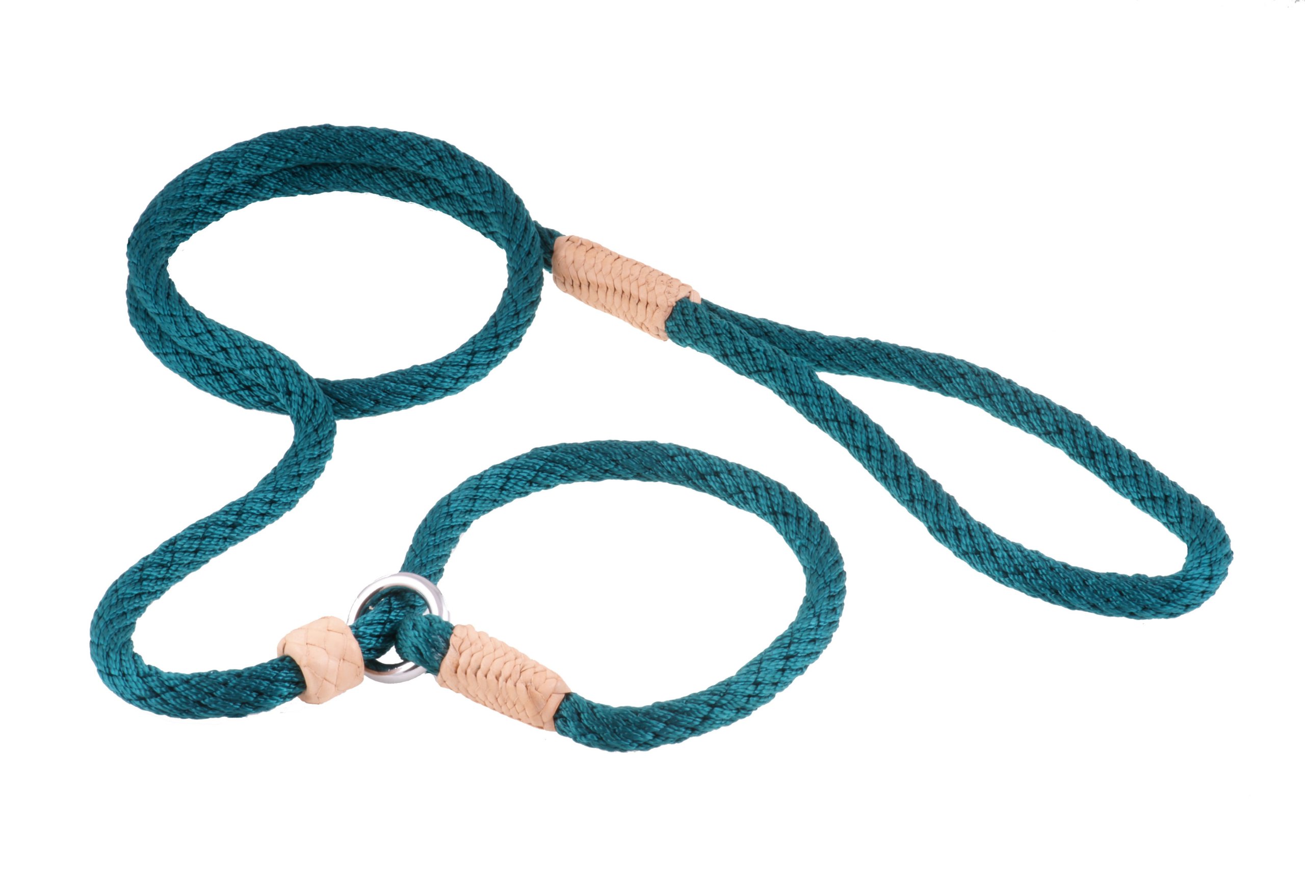 Alvalley Nylon Slip Lead with Stop for Dogs 8mm X 4ft