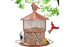 PELUOMOZ Bird Feeders for Outdoors Hanging, Metal Mesh Squirrel Proof Bird Feeder for Outside Wild Birds, 4 lbs Seed Capacity