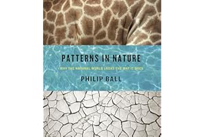 Patterns in Nature: Why the Natural World Looks the Way It Does
