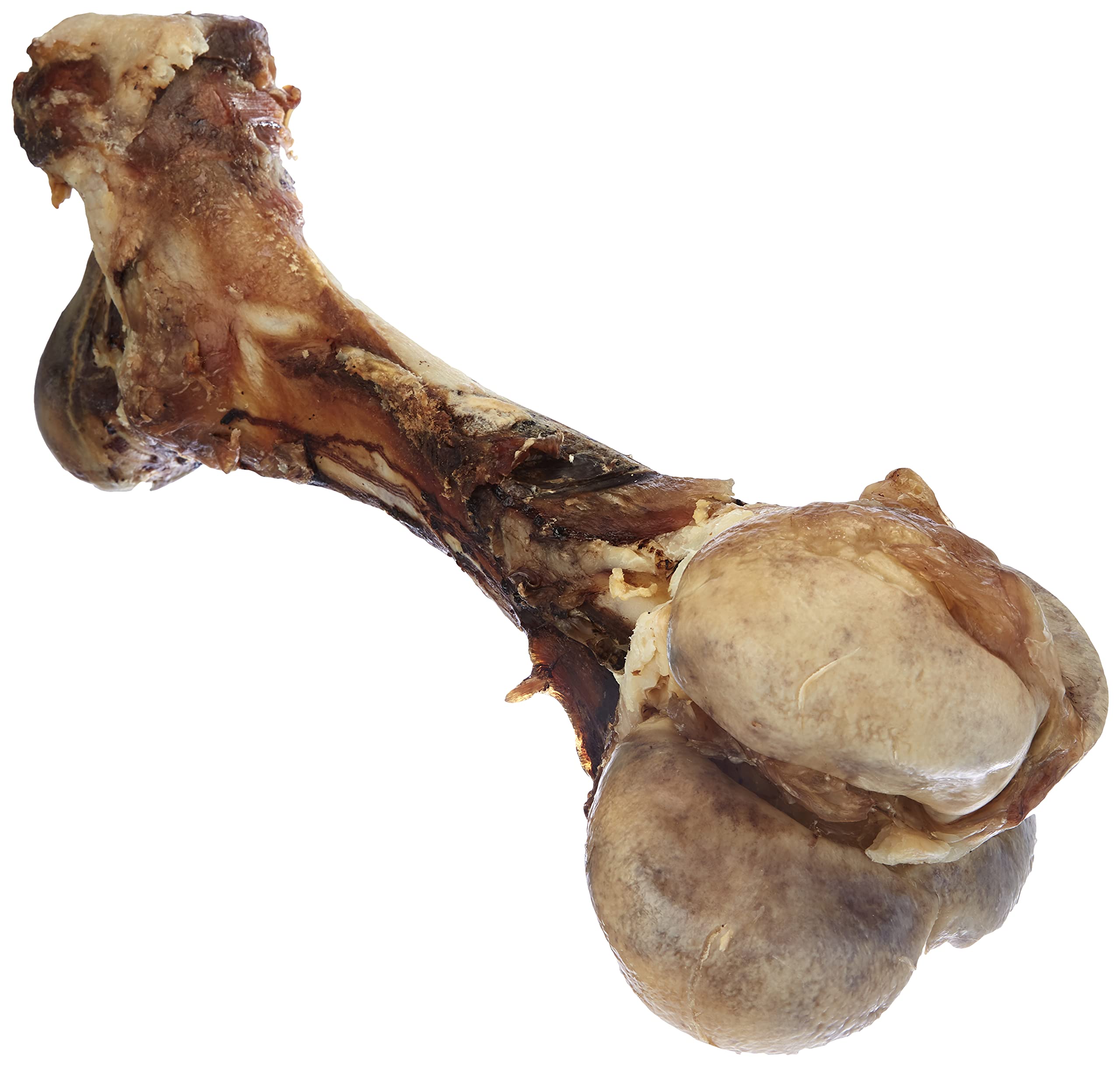 Nobby Cattle Bone, Small