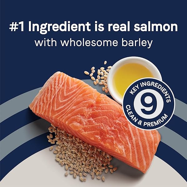 CANIDAE PURE LIMITED INGREDIENT PREMIUM ADULT DRY DOG FOOD, REAL SALMON & BARLEY RECIPE, 4 LBS, WITH WHOLESOME GRAINS