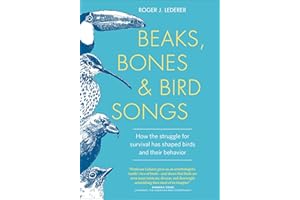 Beaks, Bones and Bird Songs: How the Struggle for Survival Has Shaped Birds and Their Behavior