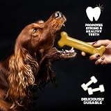 Tasty Bone Nylon Dog Chew Large Peanut Butter Indestructible UK Made view 4