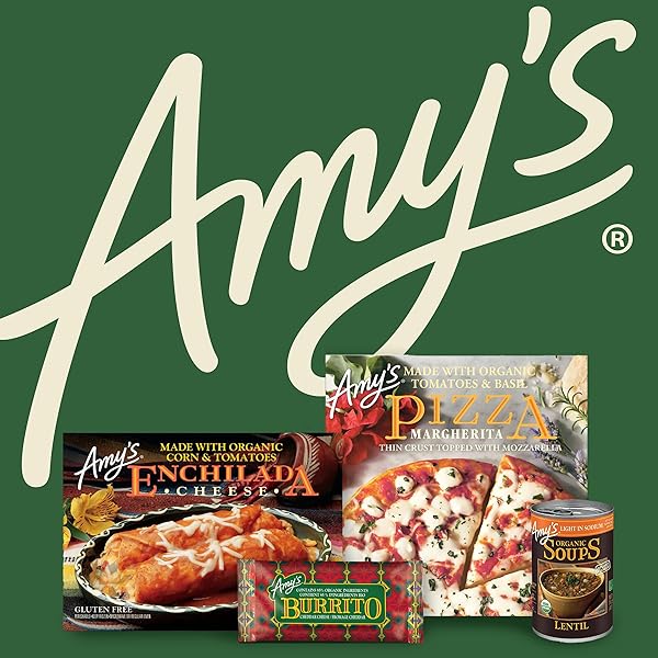 AMY’S SOUP, VEGAN, NO CHICKEN NOODLE SOUP, MADE WITH ORGANIC VEGETABLES, 14.1 OUNCE