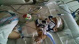 Amazon Com Evenflo Tribute Lx Convertible Car Seat