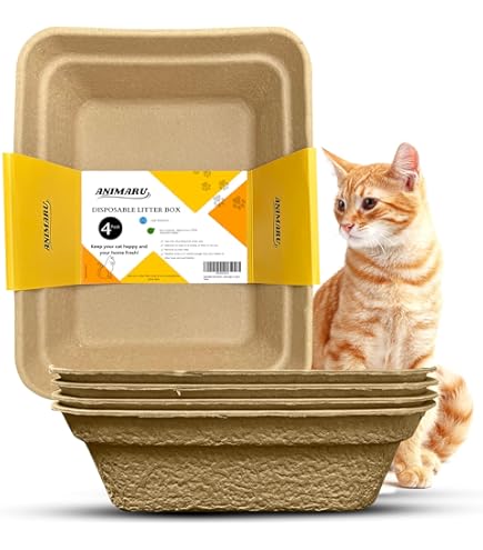 Best luuup litter box amazon Discount