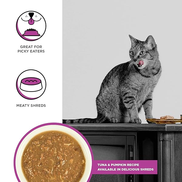 BIXBI RAWBBLE SHREDDED TUNA & PUMPKIN RECIPE CANS – GRAIN FREE, PROTEIN RICH WET CAT FOOD – (2.75 OUNCE CANS, CASE OF 24)