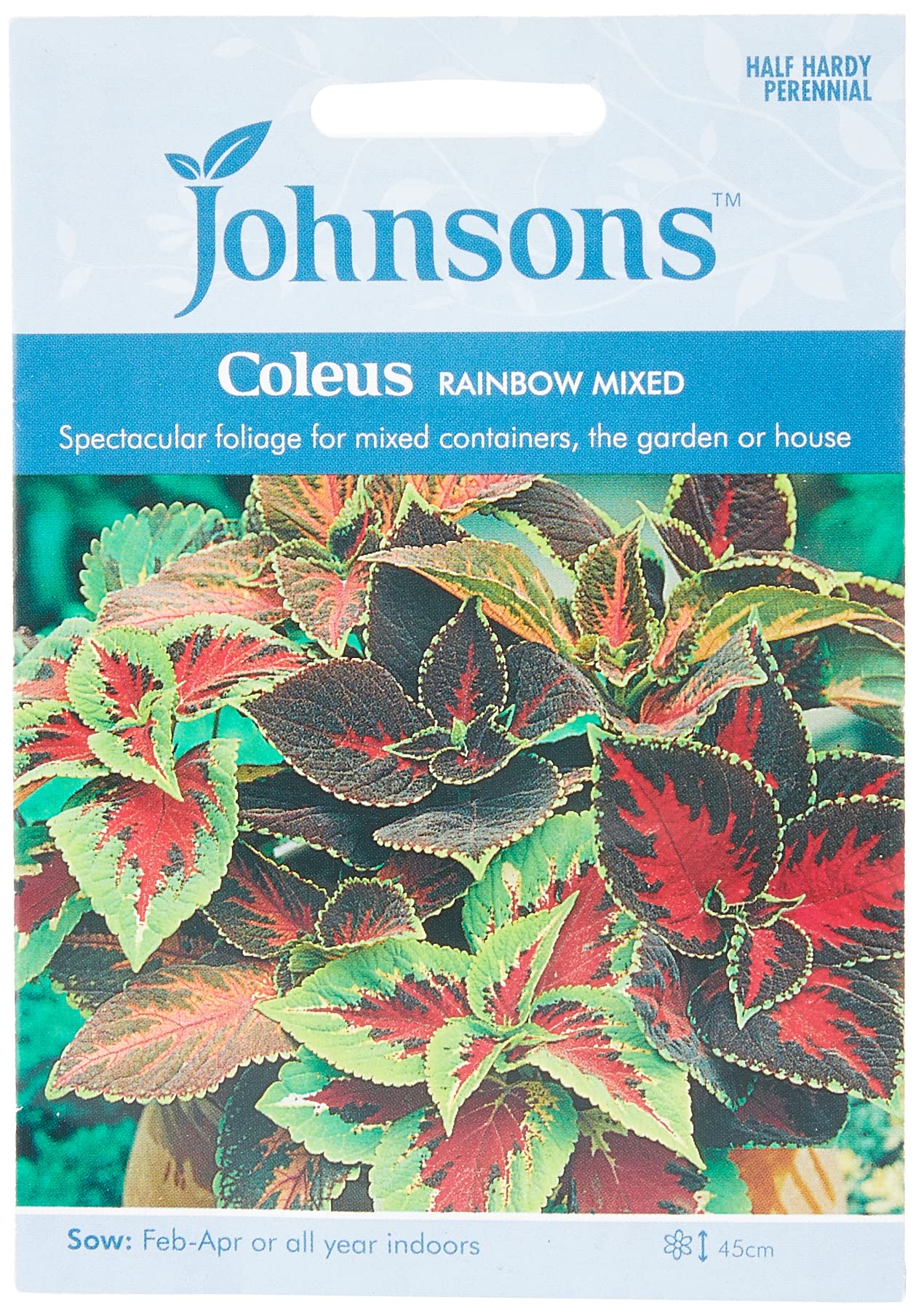 Johnsons Coleus Rainbow Mixed