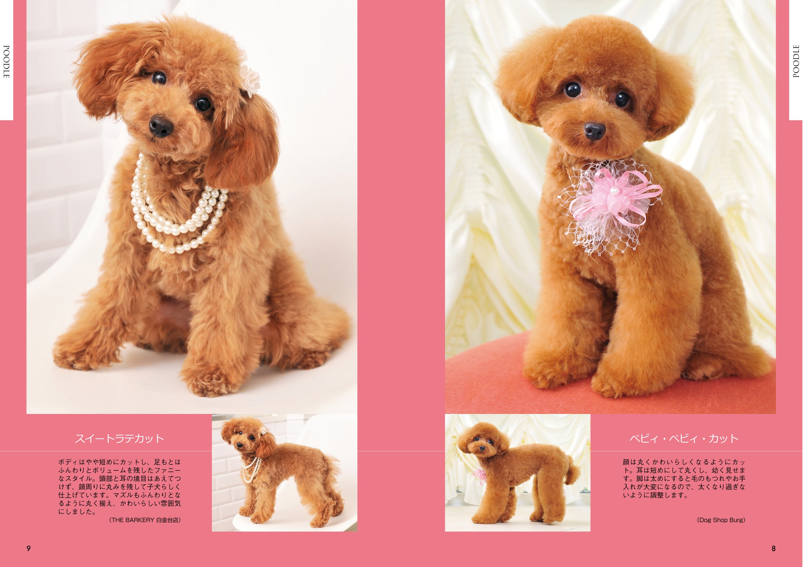 最新 ドッグ ヘアカット カタログ 満足 納得の人気カット スタイル300 グルーマー倶楽部 本 通販 Amazon