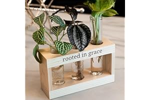 GROW 3:SEVEN Rooted in Grace: Plant Propagation Stations: Plant Cutting Holder w/ 3 Glass Propagating Vases, Unique & Encouraging Christian Gifts for Women, Faith-Inspired Home Decor