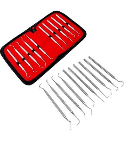 Dissection Stage Blunt Probe 10 Count Dissection Mall Probe And Seeker ...
