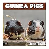 RED EMBER Select - Guinea Pigs 2025 Wall Calendar