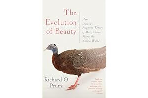 The Evolution of Beauty: How Darwin's Forgotten Theory of Mate Choice Shapes the Animal World - and Us