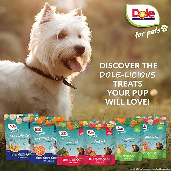 DOLE FOR PETS FRESHLY FETCHED LASTING CHEW PUMPKIN FLAVOR DOG TREATS, MEDIUM AND LARGE BREEDS, NO WHEAT, CORN, SOY, ARTIFICIAL FLAVORS, COLORS, OR ANIMAL PRODUCTS, 8 OUNCES, 5 CHEWS