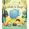 Very First Questions and Answers What is poop?