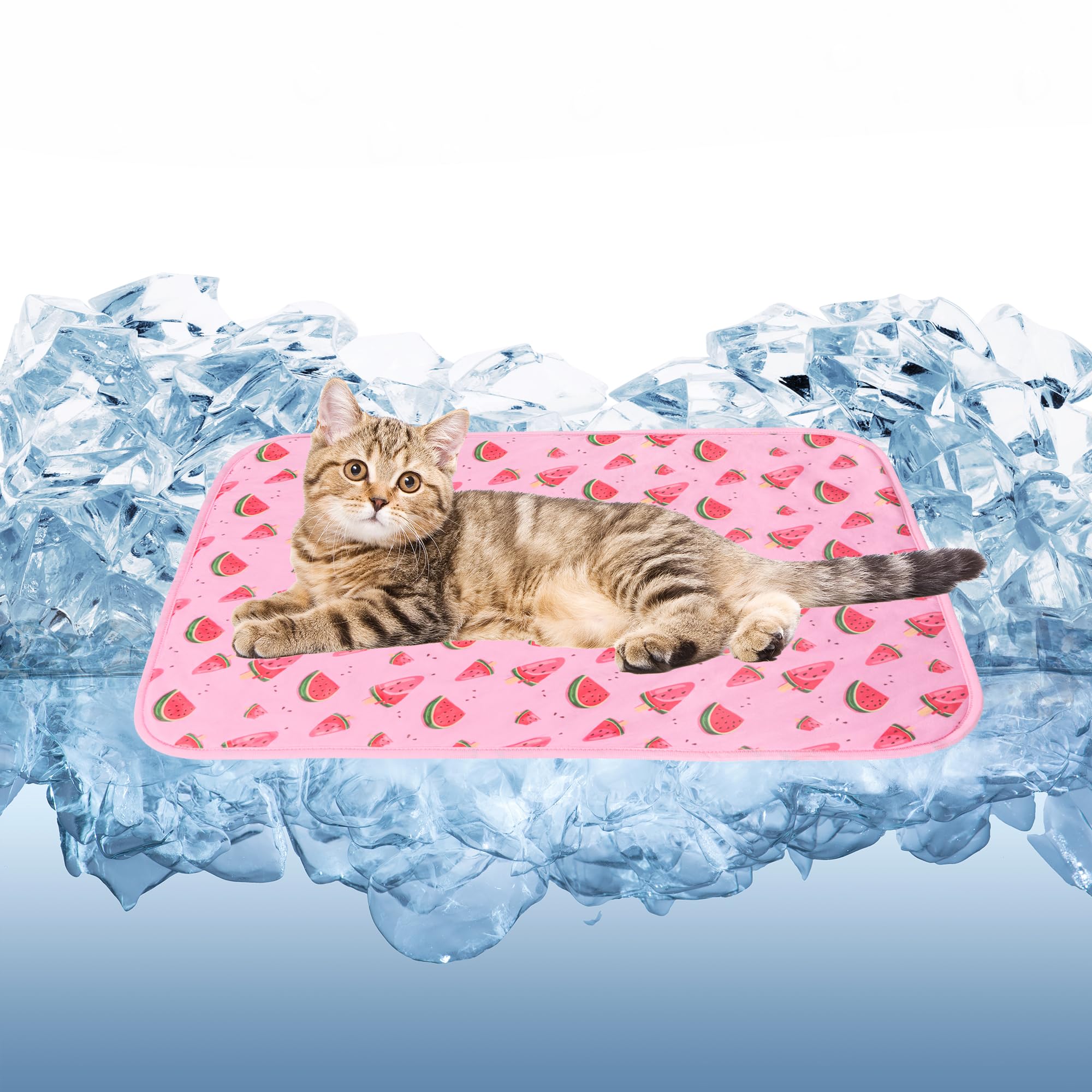 Photo 1 of DELIFUR Cat Cooling Mat- Pet Cooling Mat Outdoor for Dogs Ice Pad for Kitten Cat Puppy Machine Washable (Small, Pink Watermelon)