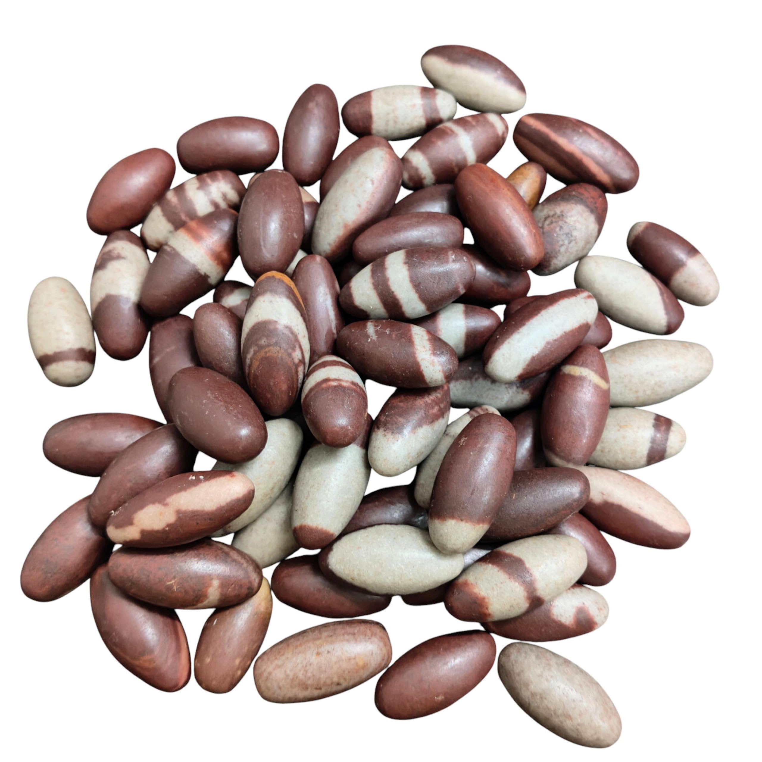 CraftsLook Bulk 1" Shiva Lingam Pocket Stones - 51 Pc. Lot - Best Priceshiva Sacred Narmada Bana Lingam, Shri Narmadeshwar Banalinga - Spiritual