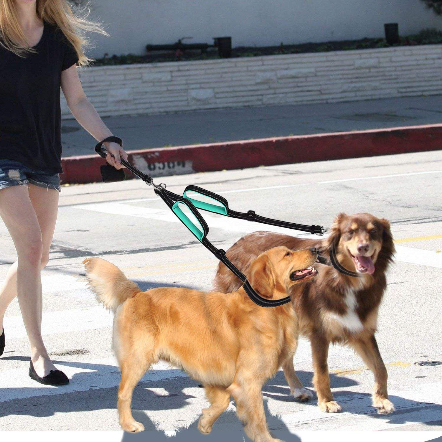 mighty paw dog leash