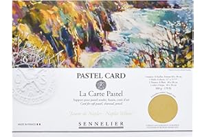 SENNELIER La Carte Pastel Card Pochette, 15.75" x 11", Monochromatic Naples Yellow