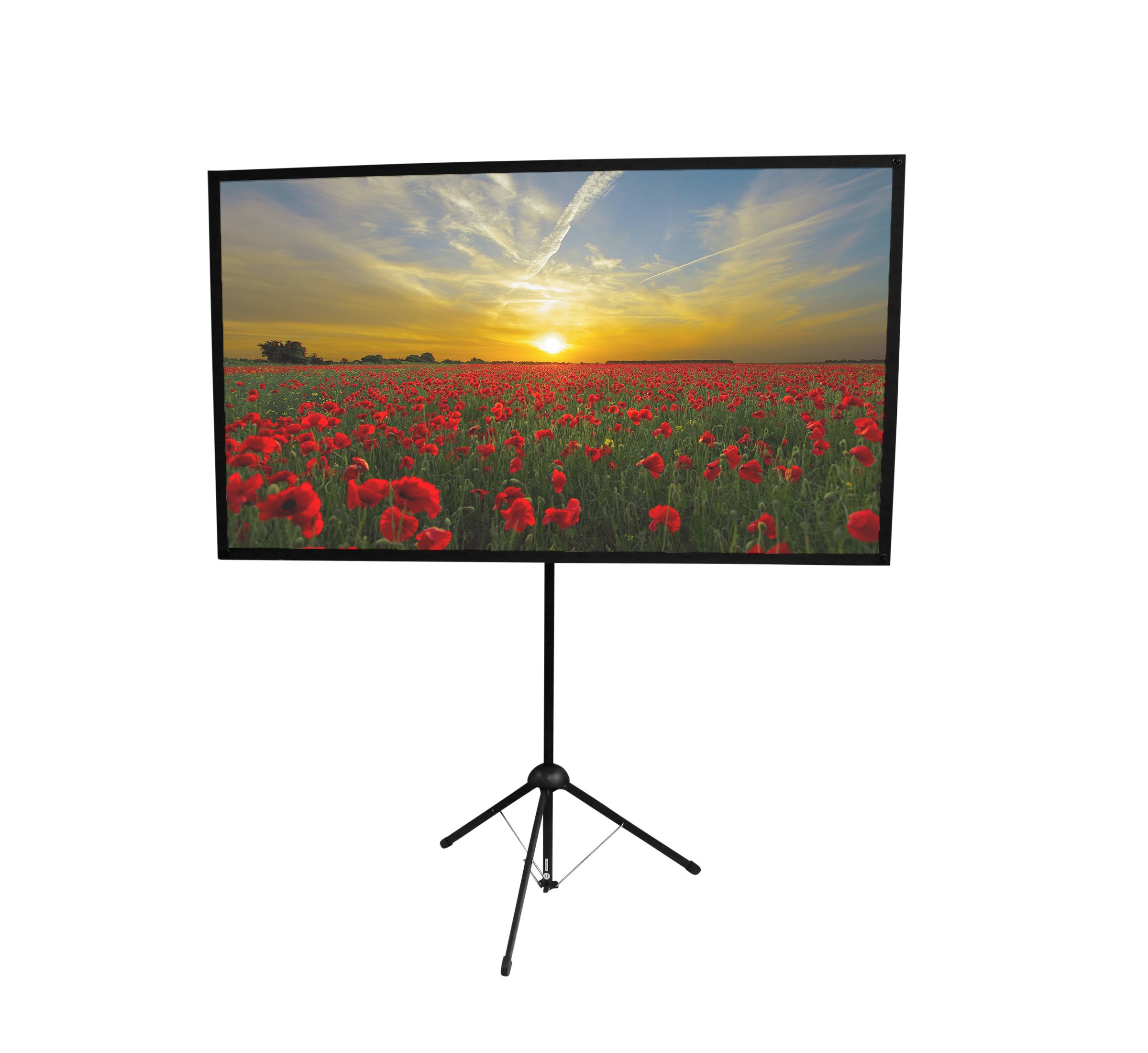 GO60 Portable Projector Screen 60 inch Mounts on Tripod AND Wall