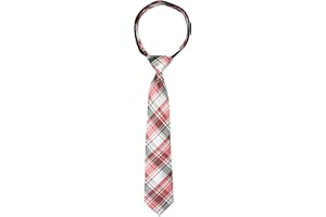 Spring Notion Boys' Pre-tied Woven Zipper Tie