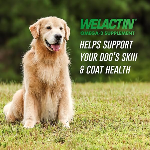 NUTRAMAX WELACTIN 3 – CANINE 120 – SOFTGEL CAPS, WELACTIN OMEGA-3 SKIN AND COAT SUPPORT