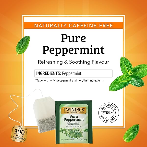 TWININGS PURE PEPPERMINT HERBAL TEA INDIVIDUALLY WRAPPED BAGS, 100 COUNT (PACK OF 1), FRESH MINTY FLAVOUR, NATURALLY CAFFEINE-FREE, ENJOY HOT OR ICED, 100 TEABAGS