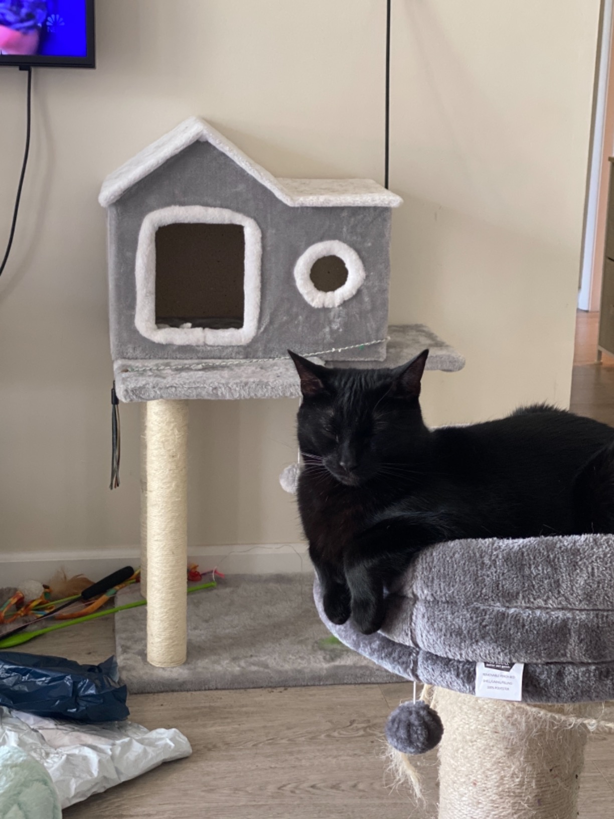 13/mo Finance COZ Cat Tree House with Ladder, Cat Tower Sisal Scratching Posts with Jump